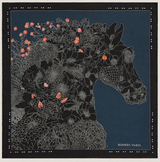 Hermes Scarf